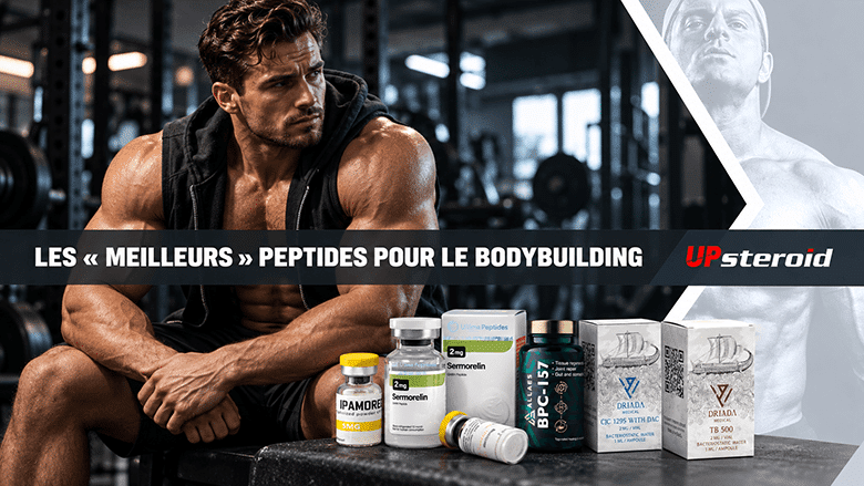 Les « meilleurs » peptides pour le bodybuilding